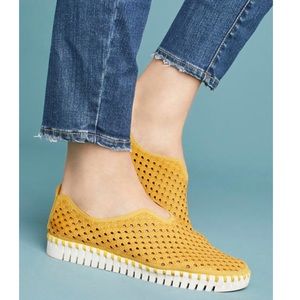 EUC Isle Jacobson Tulip in Yellow EU 37